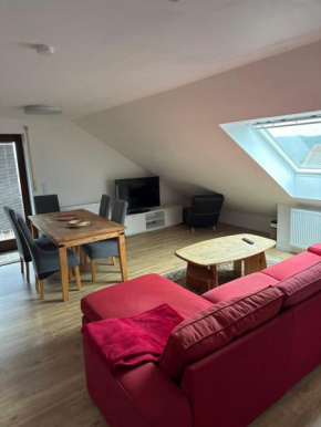 Neu renovierte 2 Zimmer Wohnung